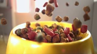 Friskies Crunchy & Soft – Wyjątkowy i pyszny!
