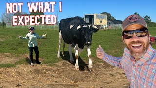 You Won't Believe How Much Our Steer Weighs!