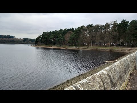 Swinsty Reservoir Walk - the calming effects of water!