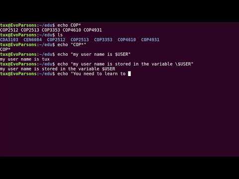 M02T2.2 - Intro to Linux - Bash Weak Quoting