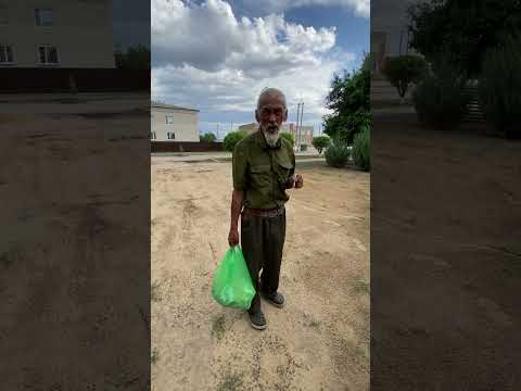 День РОССИИ . Иваныч и Профессор #рек #россия #тренды #shortsvideo #рекомендации #shorts