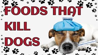 🐾Dangerous Foods Your DOG Should Never Eat by Paws and Purrs 125 views 1 month ago 5 minutes, 11 seconds