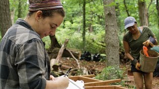 UVA Students Unearth the Past