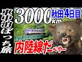 【3000km車中泊ぼっち旅】旅行中断して秋田内陸線に田沢湖観光の後は峠パーティー！？北東北3県（岩手・秋田・青森）道の駅全部巡る旅！8日目秋田