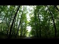 Bitsa forest natural and historical park moscow