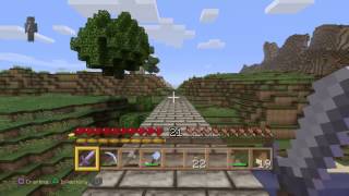 Minecraft PS4 Survival Mode