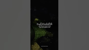 القارئ ماهر المعيقلي /سورة قٓ آية(16)ولقد خلقنا الإنسان ونعلم ما توسوس به نفسه...