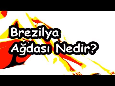 Video: Köpeğinizle Nasıl İletişim Kurarsınız (Resimlerle)