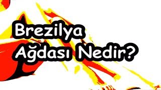 Brezilya Ağdası Nedir Brezilya Ağdası Nedir