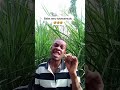 #funny #comedy #tanzania #duet #viral