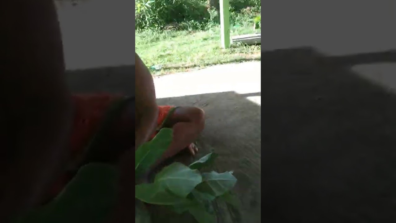 வெடியுப்பு ஜெயநீர் செய் பாகம்