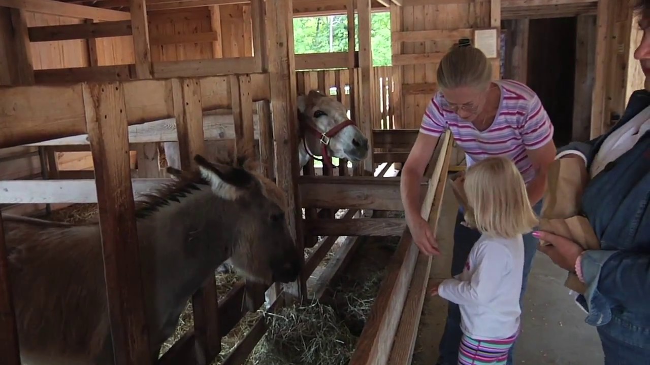 farm tours door county