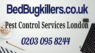 Pest Ealing