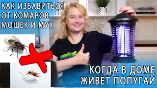 КАК ИЗБАВИТЬСЯ ОТ КОМАРОВ МУХ И МОШЕК КОГДА В ДОМЕ ЖИВЕТ ПОПУГАЙ