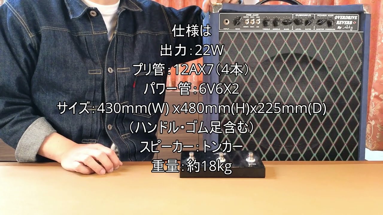 Part 1] AKG Sound Design Overdrive Reverb 22W (No Sound Test