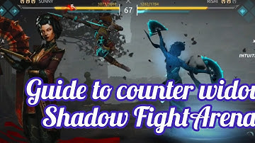 Guide to Counter widow: Shadow Fight Arena