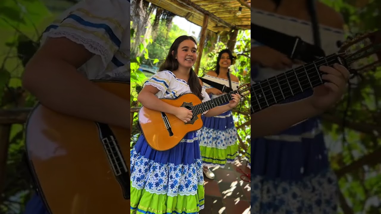 Los Sabanales (cover) - Grupo Las Garzoneñas