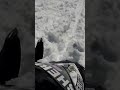 Snowmobile Police!?! Stopped for Wreckless Riding #shorts #snowmobile #police
