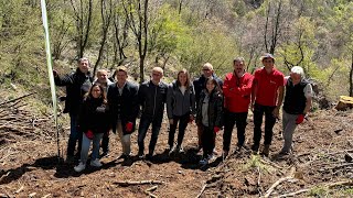 Cresce una nuova foresta nel Parco del Campo dei Fiori