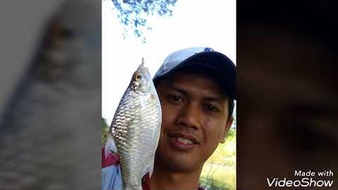 Lagu sunda nguseup deui dari beunteur hunter