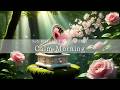 【Fresh Morning Forest Piano 🎹】Calm &amp; Relaxing Music for a Peaceful Start 🩷｜Monday Musical Notes