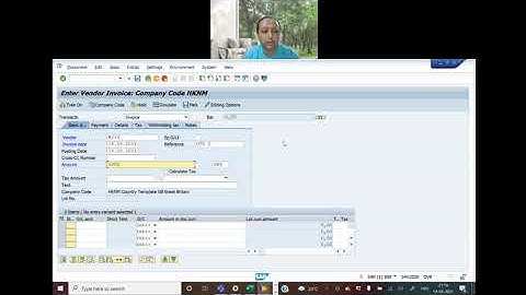 S4Hana FICO 53 One Time Vendor/Customer posting - End User