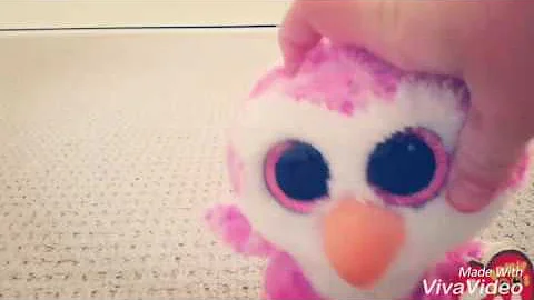 MY BRAND NEW BEANIE BOOS (ty toys) a penguin sooooooo cute (shopkinslover369 video)