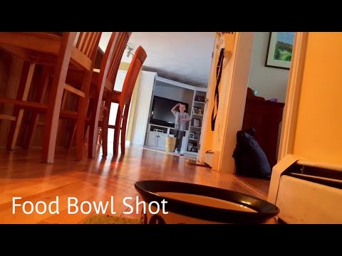 ping-pong-trick-shots---bow-tie-productions