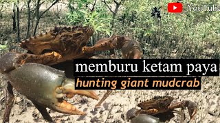 🔴giant mudcrab🔴 jom teman aku pergi memburu ketam paya gergasi #hunting #mudcrabs #crab #barehand