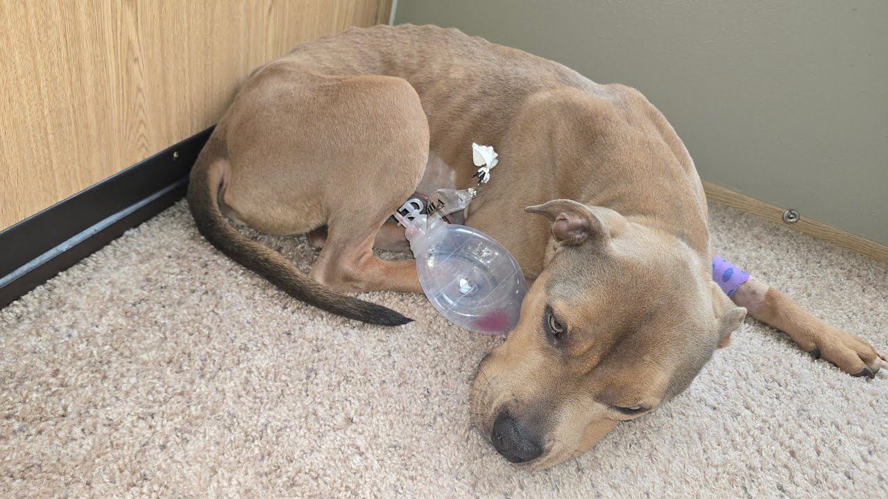 Hopefully this video can help someone 🙏 