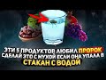 Удивительно Полезные Продукты, которые любил Пророк ﷺ | И Хадис о мухе которая упала в стакан Воды!