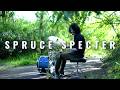Happy Imaeda - Spruce Specter