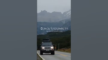 افتح صباحك بسكينة.. تلاوة تملأ قلبك نورًا 🌅💛 | استمع وخذ أجرًا عظيماً