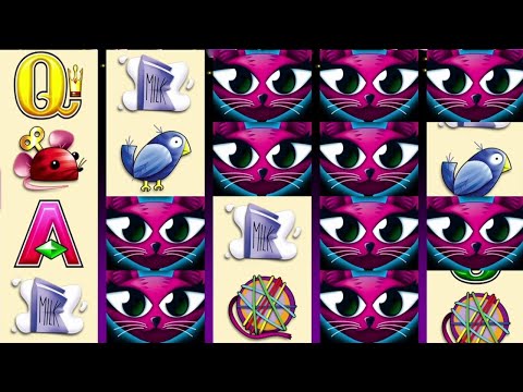 $250 Max Bets on Miss Kitty (What a Session!)