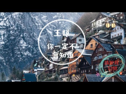 王韻-你一定不會知道『你一定不會知道我多累 你一定不會知道多狼狽』【動態歌詞 Lyrics】「D.A MUSIC」