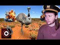 The great emu war of australia  official clip