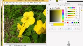 Add Color to Buttons in Android w/ GIMP, ColorWheel, 9 Patch screenshot 3