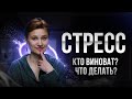 Реакция на стресс. Отчего зависит реакция на стресс.
