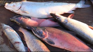 Fishing in Alaska