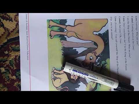 The camel - YouTube