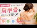 【姿勢改善】背中のハミ肉スッキリ!ガチガチ肩甲骨をほぐす 5分ストレッチ