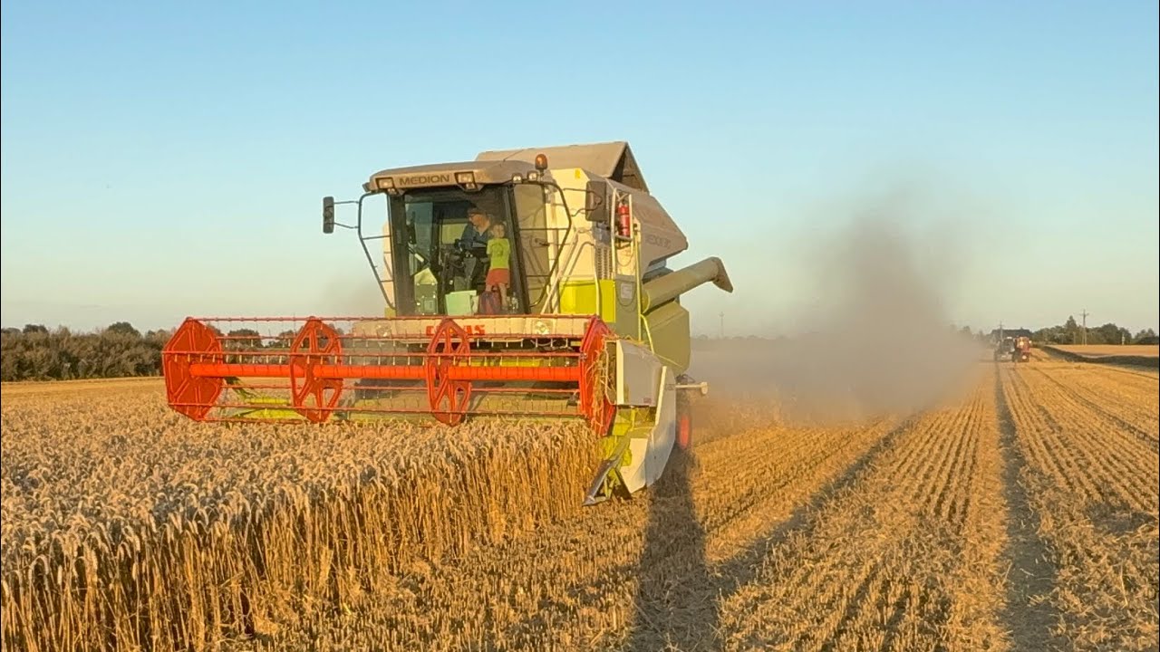 #861- Tylko pszenica! Pallas czy Banatus? Ważymy! Żniwa 2025- Medion ledwo jedzie...