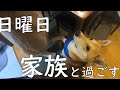 元保護犬、日曜日を家族と過ごす