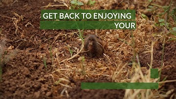 Get Rid of Gophers Once and For All | Gopher Patrol