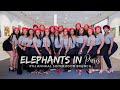 Vlog 025 | Elephants in Paris | ShaniceAlisha .