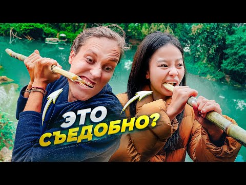 Как Едят Тростник в Китае АВТОДОМ #9