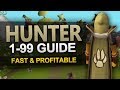 Theoatrix's 1-99 Hunter Guide (OSRS)