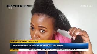Aneka Manfaat Buah Naga yang Mungkin Belum Kamu Ketahui! - SSI