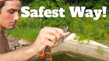 How To Catch A Water Snake With Your Bare Hands: Best & Easiest Way To Catch Snakes