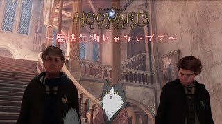 【ホグワーツレガシー】わるいことしようぜ！！！！【#3】
